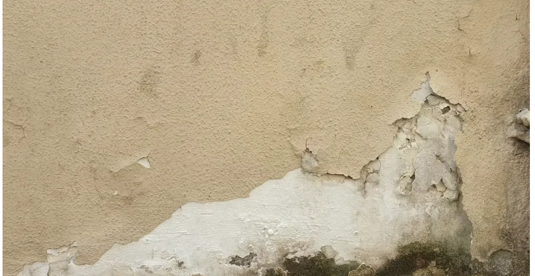 Plaster flaking off the lower part of a damp wall, with dark staining at the base